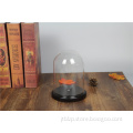 ODM/OEM Glass Dome with Wood Base - D12cm * H16cm